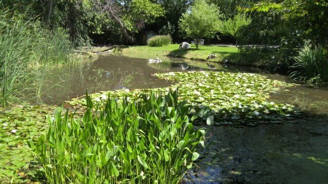 Hidden Springs True Intimacy