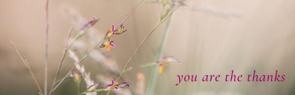 you-are-the-thanks