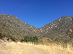 trail in Ojai, dry grass, mountains